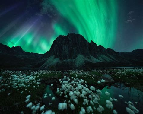 Las Mejores Imágenes De Auroras Boreales De 2022 Fotos Ciencia El