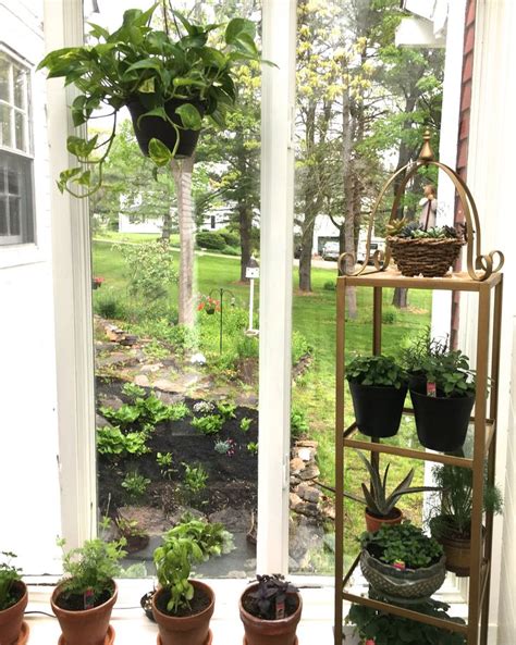Porch Sunroom Herb Garden Plant Room Room With Plants Plants