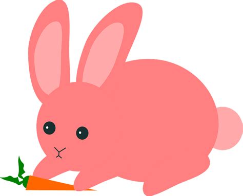 Pink Rabbit Clipart Free Download Transparent Png Creazilla