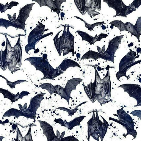 Bat Print Bat Art Illustration Art Illustrations Macabre Art