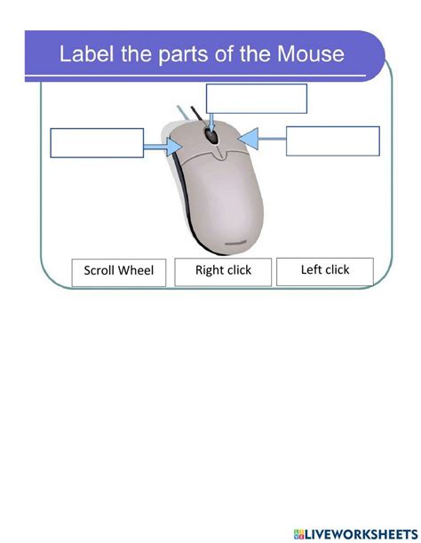 Mouse Parts Interactive Worksheet Live Worksheets