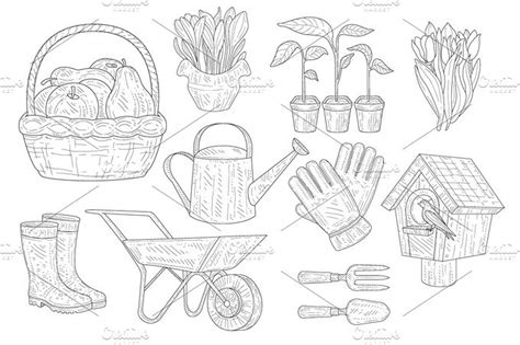 Gardening Vintage Sketch Decorative Illustrations Creative Market