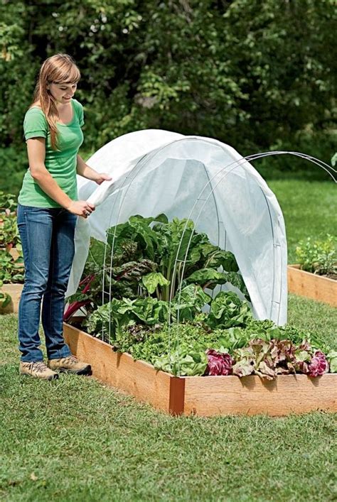 You Can Make A Mini Greenhouse Dome For About 6how To Start A Winter