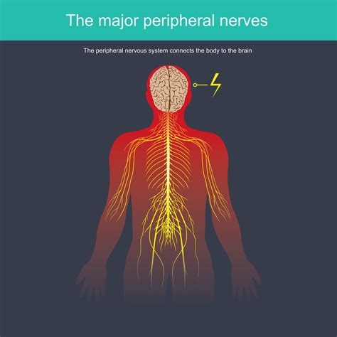 Types Of Peripheral Neuropathy Painscale
