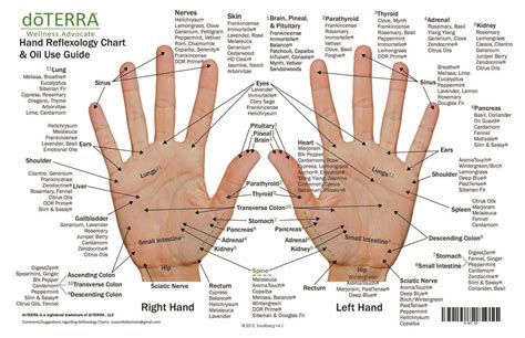 Hand And Foot Reflexology On Cardstock 85x55 Sheet