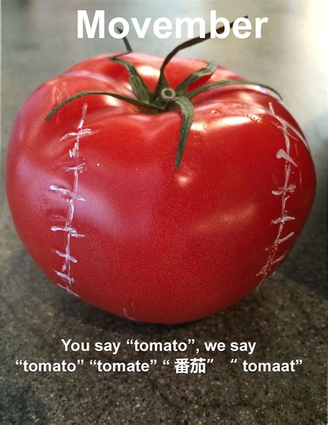 Celebrating Movember Around The Baseball World Tomato Season Tomato