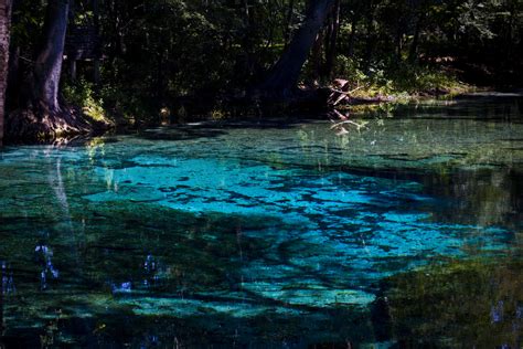 The Most Incredible Natural Wonders In Florida
