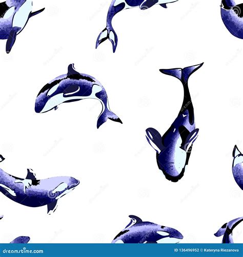 Killer Whale Seamless Pattern Stock Vector Illustration Of Killer