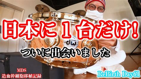 輸血依存性鉄過剰症とmds(骨髄異形成症候群)： 患者さん用ハンドブック 初期のmdsには、多くの場合貧血があります。貧血とは、赤 血球数の指標であるヘマトクリット値やヘモグロビン(体の組 織に酸素を運ぶ血漿タンパク)値が持続的に低いことを指します。 【#4ドラム】日本に1台だけのスネアゲットした!ルパン三世の ...