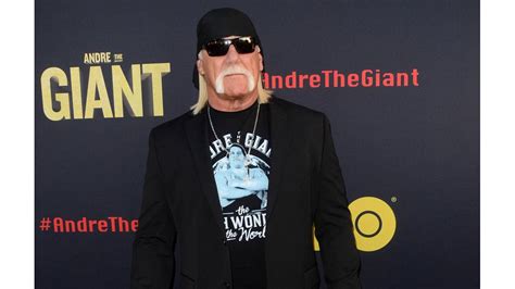 Hulk Hogan Hoping Wwe Dream Comes True 8days