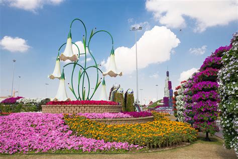 Botanical Garden Dubai Marina Fasci Garden