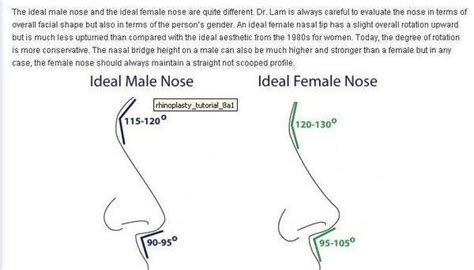 Ideal Male And Female Nose