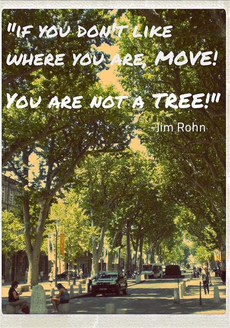 If we just sit and complain, whine, and mope, we're doing less than a tree. Pin on Yoga quotes