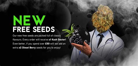 Auto Seeds The Autoflowering Specialists
