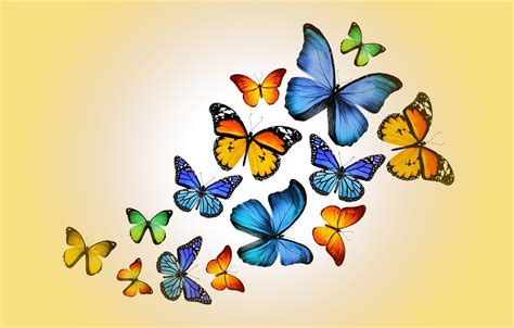 Download Yellow Butterflies Wallpaper Hd Backgrounds Download Itlcat
