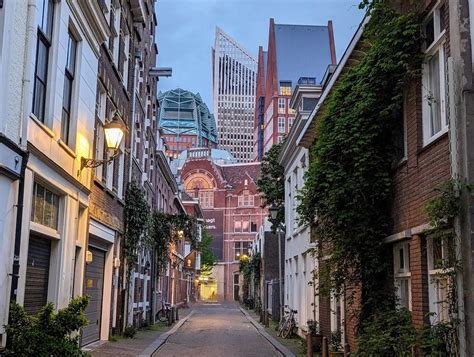 11 fun things to do in the hague on a workcation in the netherlands sidewalk safari part