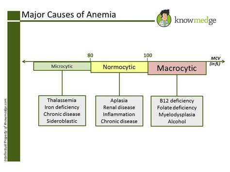 Types Of Anemias Chart