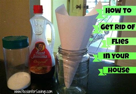 How To Get Rid Of Flies In Your House