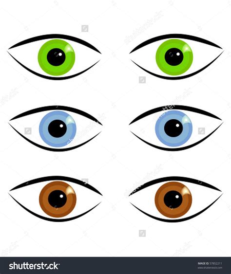 Eye Color Clipart 20 Free Cliparts Download Images On Clipground 2019