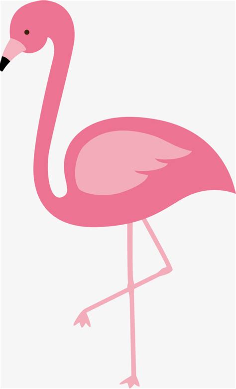 Collection Of Flamingo Clipart Free Download Best Flamingo Clipart On