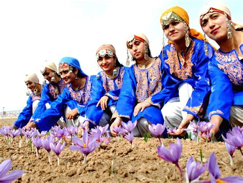 Kashmiri Girls Perform Folk Dance During Saffron Festival