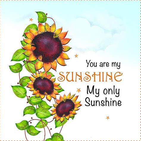 Ap620 You Are My Sunshine Sunflower 6 Etsy You Are My Sunshine