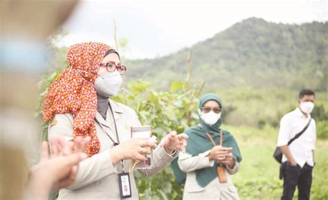 Kementan Targetkan Cetak 2 5 Juta Petani Milenial Hingga 2024