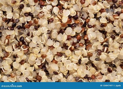Cooked Quinoa Seeds Full Frame Stock Image Image Of Vegan Full