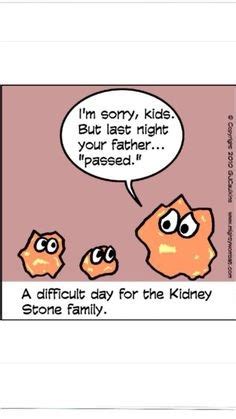 Multiple large smooth kidney stones removed percutaneously from a single kidney. Funny Quotes About Kidney Stones. QuotesGram