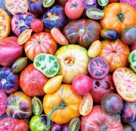 Heirloom Tomato Mix Seeds Growing Life Organic