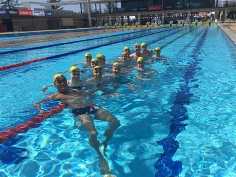 Competitive And Recreational Swim Squads Sydney Uni Sport And Fitness