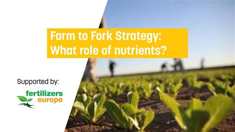 Farm To Fork Strategy What Role Of Nutrients Youtube