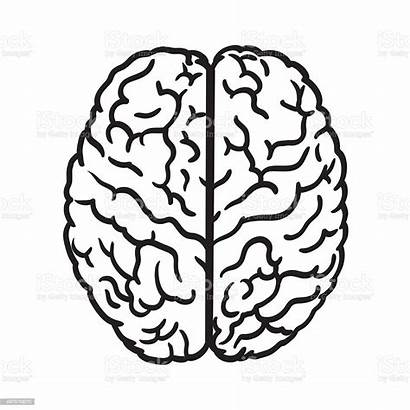 Brain Human Icon Cervello Symbol Stencil Menselijk