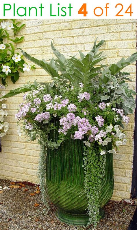 24 Stunning Container Garden Planting Ideas A Piece Of Rainbow