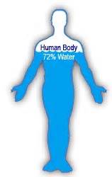 Body composition varies according to gender and fitness level because fatty tissue contains less water than lean tissue. How long does it take for most of the atoms in your body ...