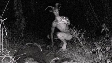 Milwaukee — marquette university says it has raised 60 percent of its $750 million goal in a fundraising campaign that launched to the public thursday. The Goatman of Maryland - Not Just On The Holidays.