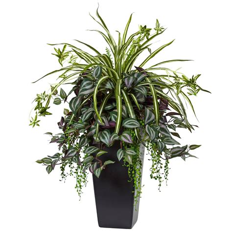 Wandering Jew And Spider Plant In Black Planter Nearly Natural