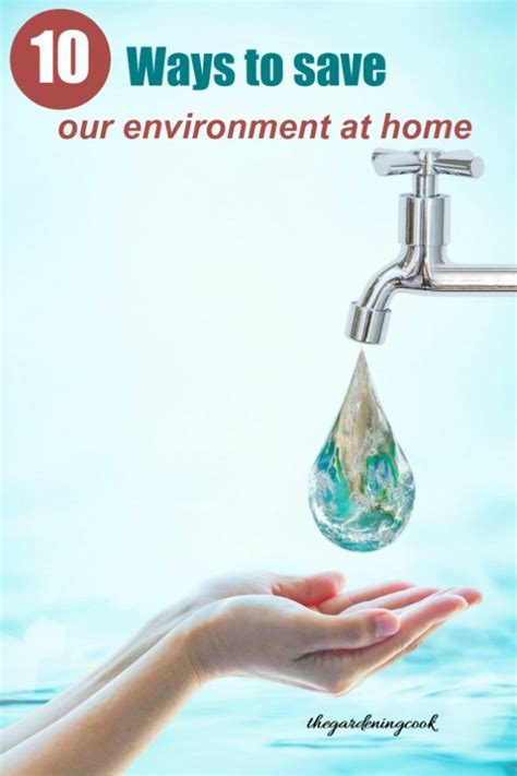 Top 10 Ways To Protect The Environment Save Our Environment At Home