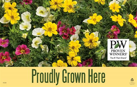 Proudly Grown Here 11x7 Display Benchcard Proven Winners