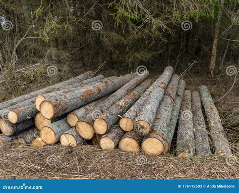 A Stack Of Wooden Logs Piled On The Side Of The Road Stock Image