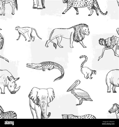 Incredible Compilation Of Over 999 Animal Drawings Stunning Full 4k