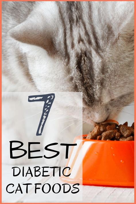 The best food for diabetic cats is one that will provide for his basic nutritional requirements without spiking his blood sugar. 7 Best Diabetic Cat Foods: Our 2020 Guide to Feeding a ...