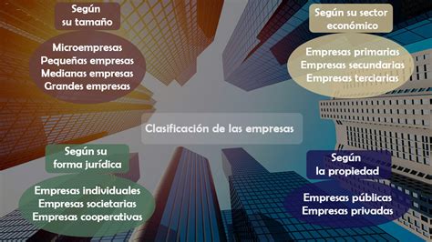 Clasificación De Las Empresas Guía Completa Para Entender Los