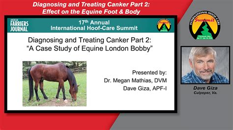 International Hoof Care Summit Session Videos