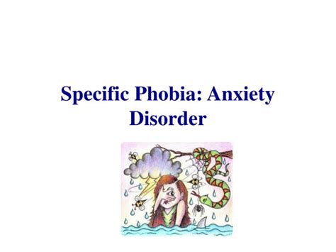 Understanding Phobias Causes Symptoms And Treatments Bio Time Inc