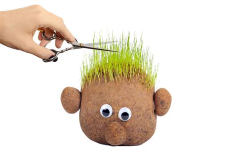 Enjoy your outdoor living space with a greener, healthier lawn. Grass Heads for Kids