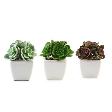 Set Of 3 Assorted Fake Succulents In Pot 5 Assorted Mini
