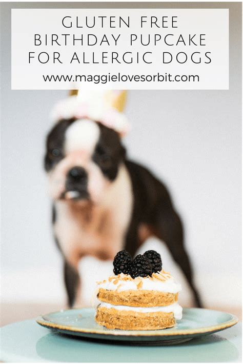Jump to recipe print recipe. Happy Birthday Orbit - I can't believe you're Two | Dog cakes, Dog cake recipes, Make dog food