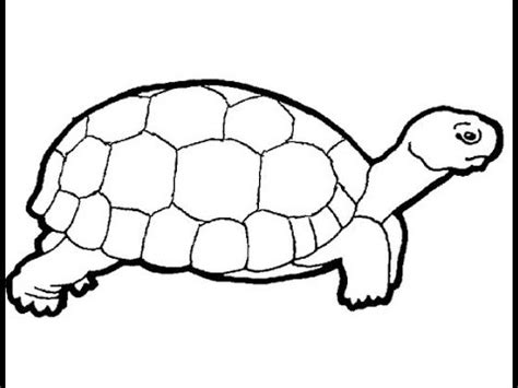 Choose your favorite turtle drawings from millions of available designs. How to draw a turtle - YouTube