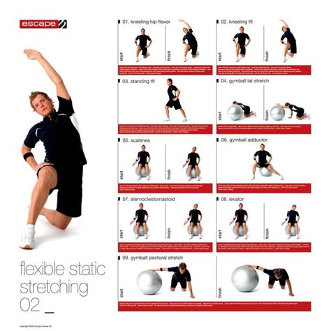 Male Static Stretching Chart Functional Fitness Benefits Of